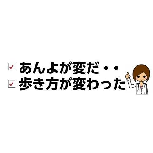 犬 猫 サプリメント 関節ケア オーガニックハーブ ふりかけ あんよ、がんばれっ |  | 02