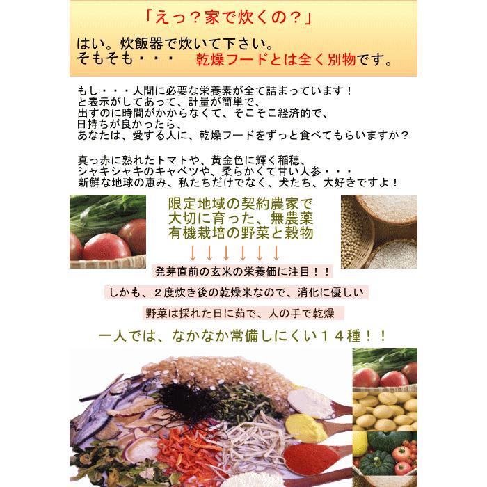 犬 手作りごはん 元気ごはんの素 試食97g 3kgの子4日分 送料無料 Gohan97 手作り元気ごはんのパリフィ舎 通販 Yahoo ショッピング