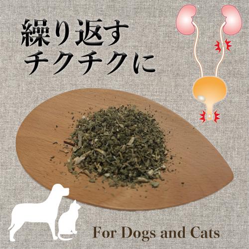 犬 猫 サプリメント 結石 膀胱炎ケア オーガニックハーブ ふりかけ 結石退散｜mamaskitchen