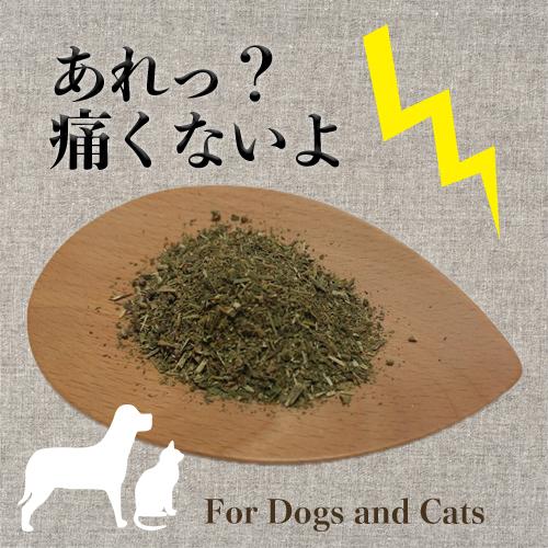 犬 猫 サプリメント 痛みケア オーガニックハーブ ふりかけ あれっ？痛くないよ｜mamaskitchen