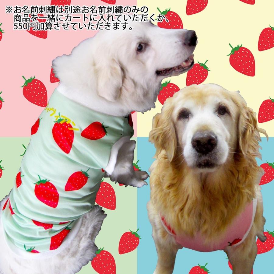 犬服^ ^いちごちゃん