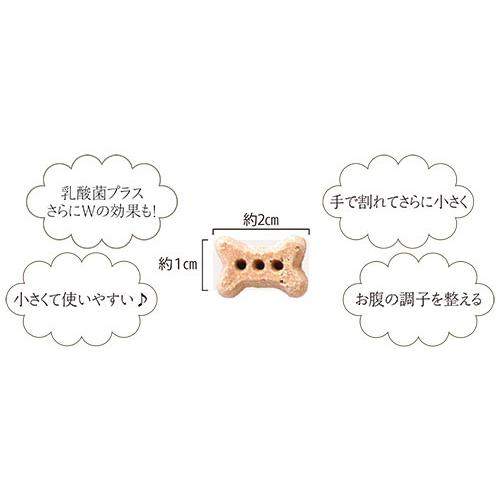 犬用おやつ おやつ ビスケット プロバイオビスケット クランベリー80g ナチュラルハーベスト クリックポスト送料無料(代引き不可) |mamav|03