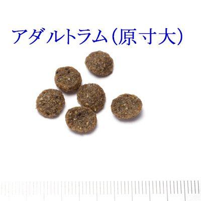 ドッグフード　犬用フード　セレクトバランス　アダルトラム　小粒　3kg　ポイント10倍　１才以上の成犬用　送料別｜mamav｜04