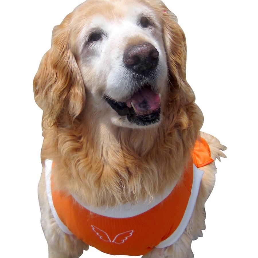 犬服 ドッグウェア 3 5lサイズ 超大型犬 Dogフリル Cool My Angel マイエンジェル ポイント10倍 レターパック送料無料 代金引換別途送料600円 Cfrillangel35l 大型犬とママの店 ママブイ 通販 Yahoo ショッピング