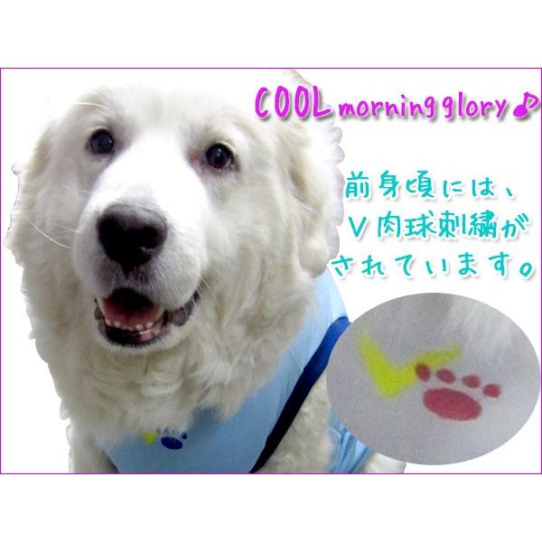 犬服 ドッグウェア 犬 タンクトップ 2Lサイズ（大型犬） COOL!!♪朝顔 メール便で送料無料（代金引換別途送料600円〜）｜mamav｜02