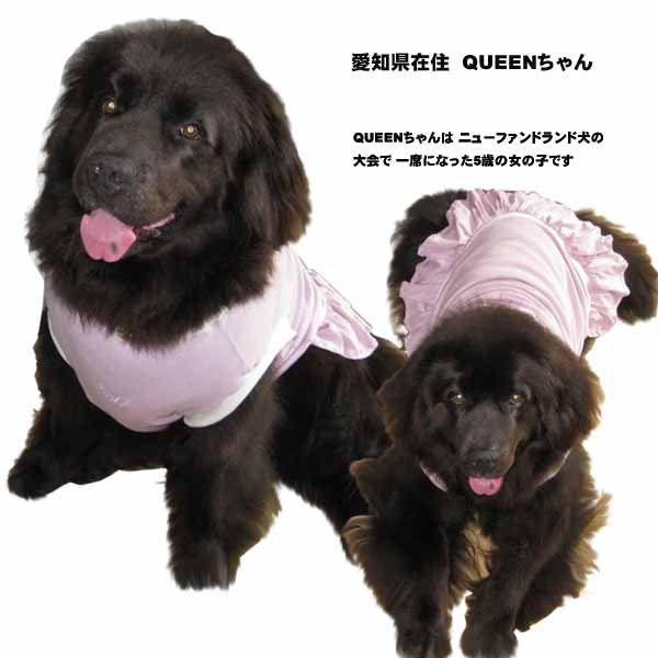 犬服　ドッグウェア　3Lサイズ（超大型犬）　DOGギャザースカート My angel　ポイント10倍　レターパック送料無料（代金引換別途送料600円〜）｜mamav｜05