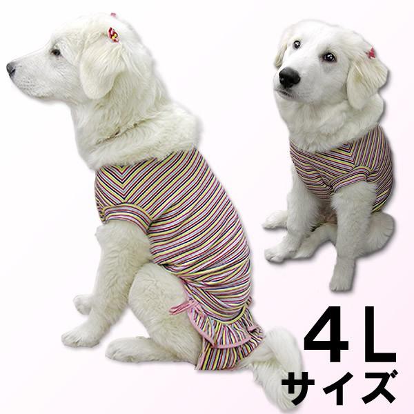 犬服　ドッグウェア　犬　4Lサイズ（超大型犬）　DOGフリル付タンクトップ カラフルボーダー　犬用タンクトップ　レターパックで送料無料（代引き不可）