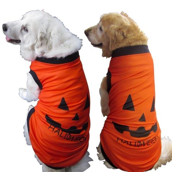 犬服 ハロウィンタンクトップ Lサイズ（中型犬）DOGタンクトップ かぼちゃ柄 ハロウィンかぼちゃ メール便送料無料（代引不可）｜mamav