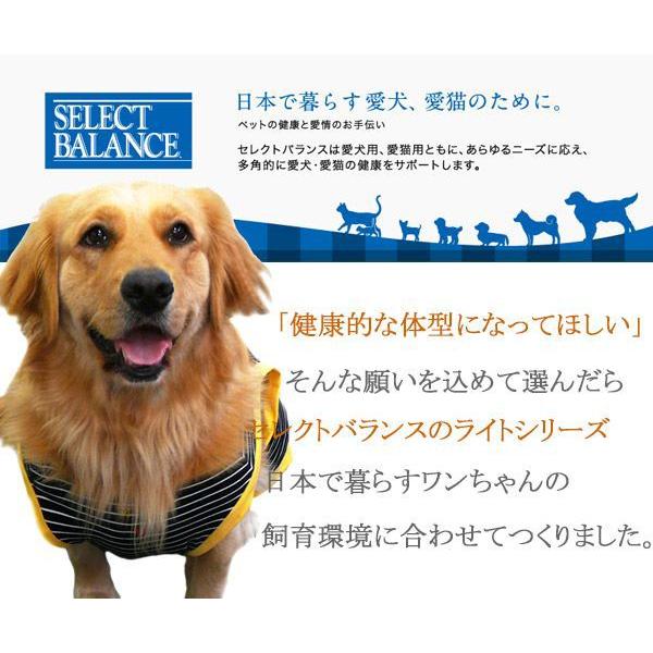 ドッグフード　犬用フード　セレクトバランス　スリムチキン（旧ライトチキン）　小粒　3kg　ポイント10倍　１才以上の肥満傾向の成犬用　送料別｜mamav｜03