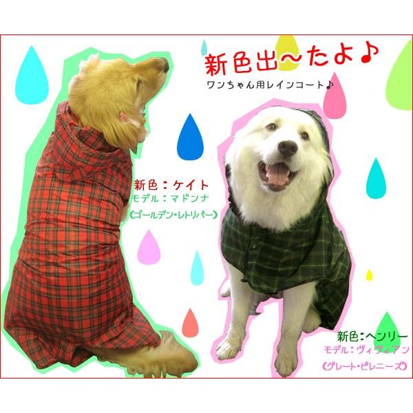 犬のレインコート 日本製 大型犬用レインコート 2lサイズ レトリバーサイズ しっぽ