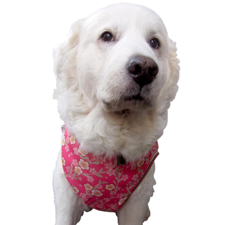犬服　ドッグウェア　桜　さくら　タンクトップ　2.5Lサイズ（大型犬）　DOGタンクトップ 桜プリント　メール便送料無料（代引き不可）｜mamav｜15