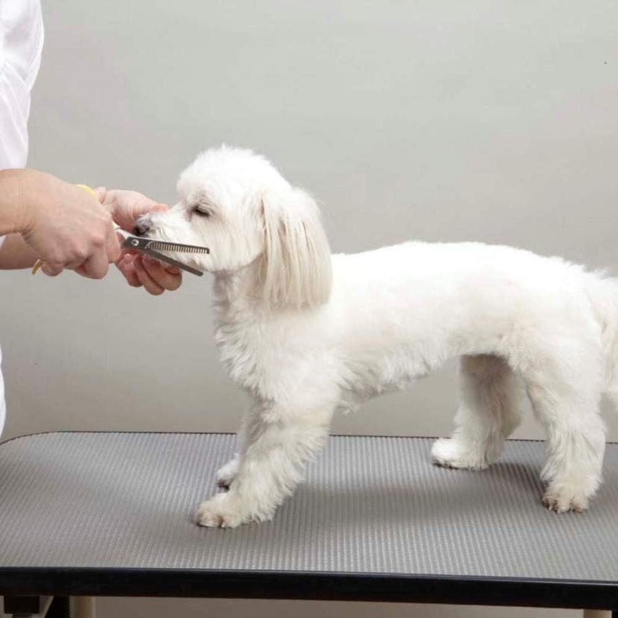 ドギーマン スキバサミ 犬 猫用 : 日用品 コスメ - 通販 - Yahoo