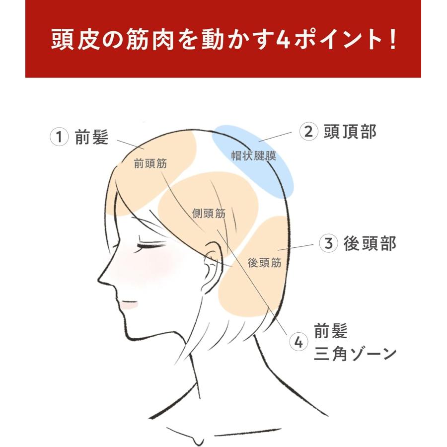 N organic（エヌオーガニック） GROW LAB 頭皮 育毛 スカルプ ブラシ 1