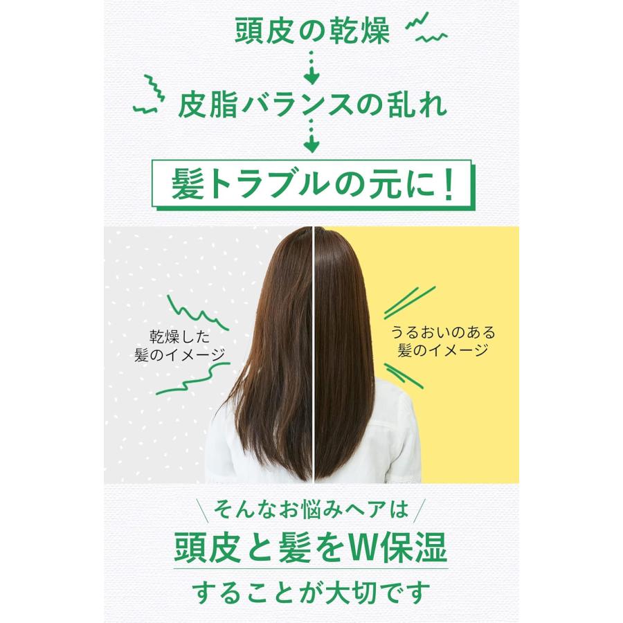 Diane（ダイアン） ボタニカル シャンプー モイスト フルーティ