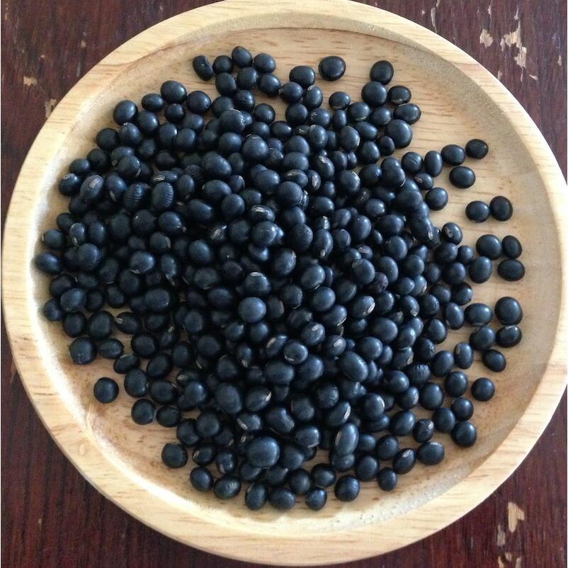 宅配便】黒千石 「500g」北海道産 幻の黒豆 令和7年産 極小黒豆