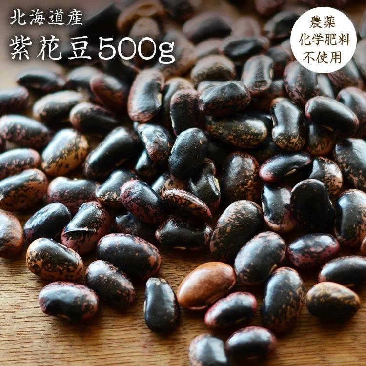 宅配便】無農薬 紫花豆 500g 北海道産 令和7年産 農薬化学肥料不使用