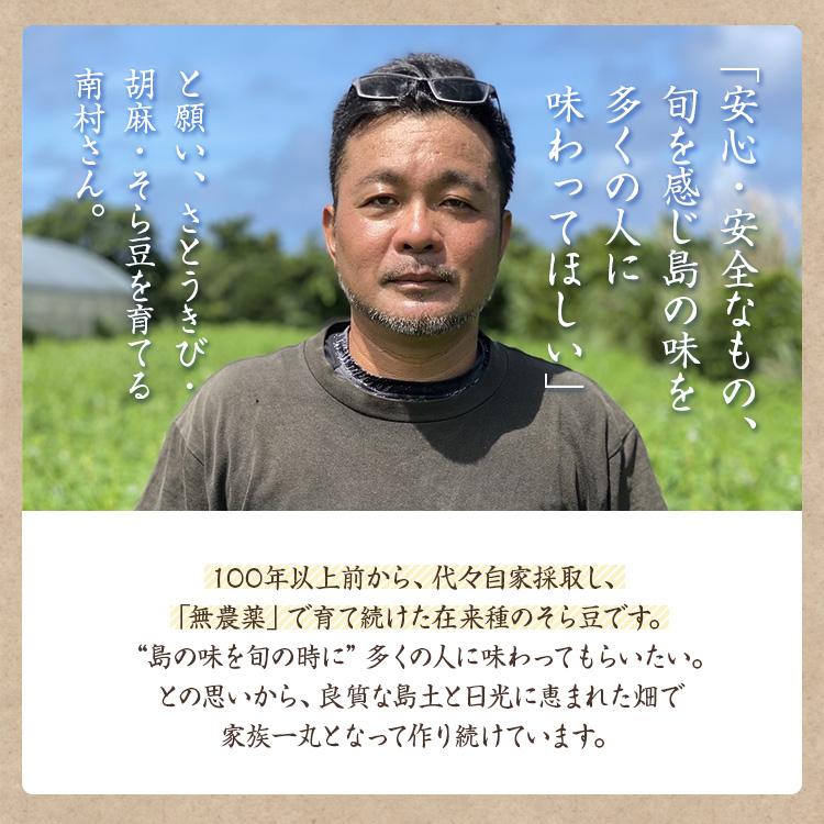 【ゆうパケット 送料無料】【500g】喜界島産 乾燥そら豆 令和5年産 そら豆 ソラマメ 農薬不使用 蚕豆 国産 希少 鹿児島県 在来種｜mame-sanei｜05