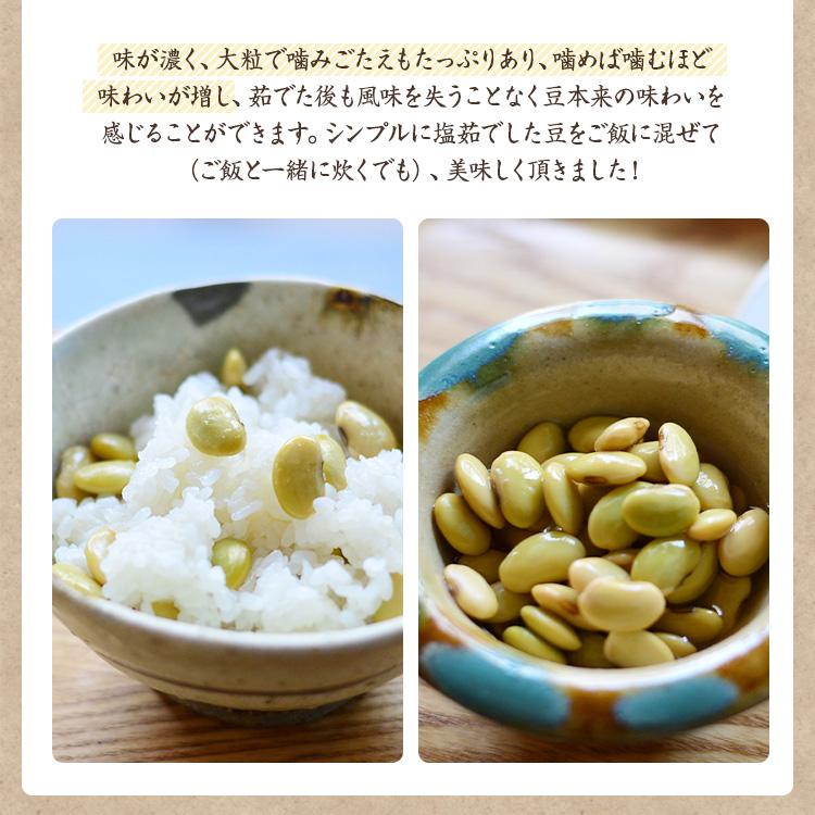 【ゆうパケット 送料無料】馬のかみしめ 500g 【在来種】 山形県長井市特産 在来大豆 ひたし豆や味噌づくりにに最適 枝豆 青大豆 国産｜mame-sanei｜04