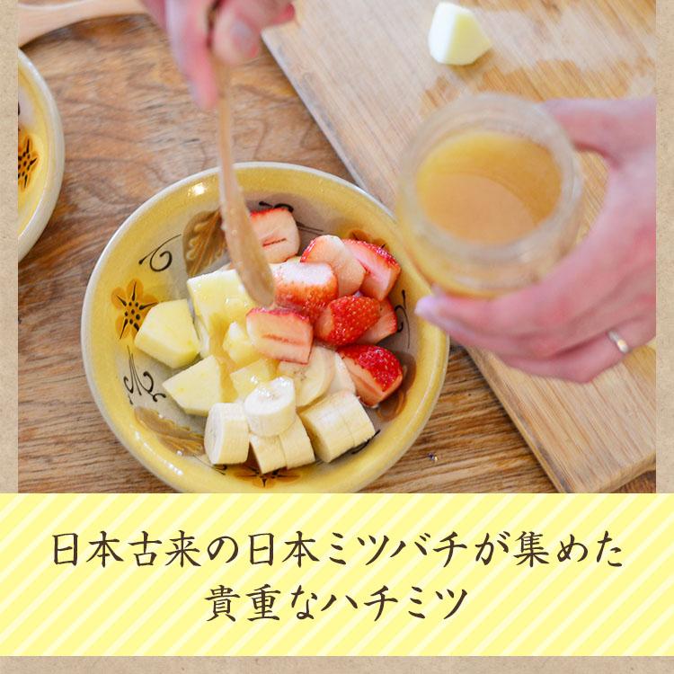 徳島県産 ニホンミツバチ 蜂蜜 240g×5本 楽天市場】【宅急便】 宮崎県