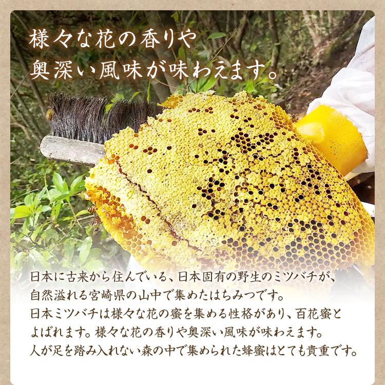 徳島県産　ニホンミツバチ　蜂蜜　240g×4個 酵母が生きてる&長期 600g 幻の日本ミツバチ・壱岐島産】生はちみつ その他