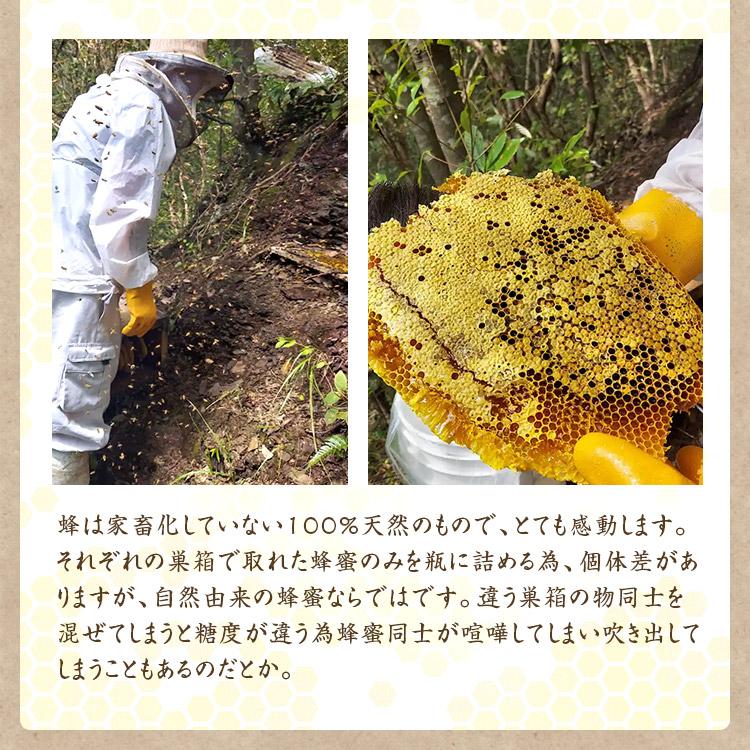 徳島県産 ニホンミツバチ 蜂蜜 240g×5本 楽天市場】【宅急便】 宮崎県