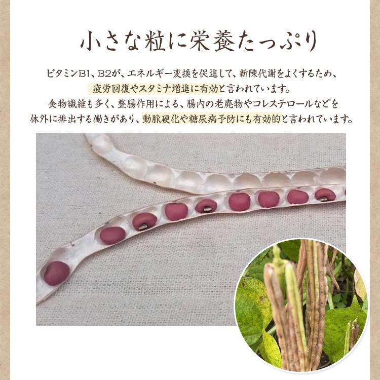 宅急便】 国産ささげ 「1kg」令和6年産 北海道産ささげ 赤飯用 赤