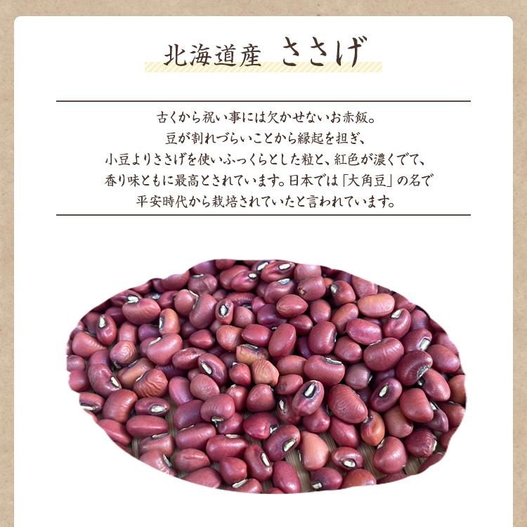 ゆうパケット 送料無料】 国産ささげ 「900g」令和6年産 北海道産