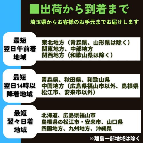 (研究向け・淡水魚)　クロメダカ　3cm±　200匹 