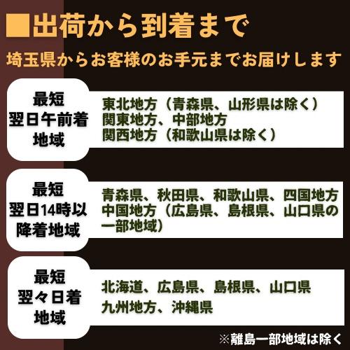 (熱帯魚・淡水エビ)　アフリカンジャイアントロックシュリンプ　6cm±　3匹 