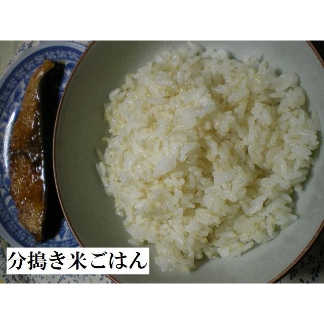 令和3年　島根県産こしひかり減農薬特別栽培米玄米10kg｜mame0722｜04