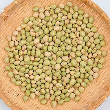 大豆 秘伝豆 山形県産 令和7年産 20kg 業務用 送料無料 : 豆平Yahoo