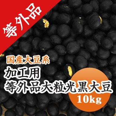 豆 黒豆 加工用 【等外品】大粒黒豆 北海道産 令和7年産 10kg 業務用