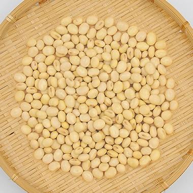 大豆 くるみ豆 山形県産 令和７年産 30kg 業務用 送料無料_1