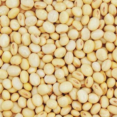 大豆 くるみ豆 山形県産 令和７年産 30kg 業務用 送料無料_2
