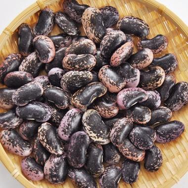 豆 紫花豆 大粒 高原花豆 高原豆 令和6年産 500g : 豆平Yahoo!店