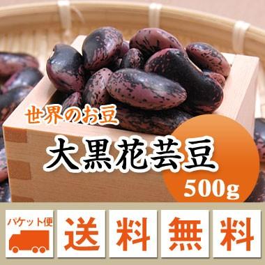 豆 紫花豆 大黒花芸豆 中国産 500g メール便送料無料 ※日時指定不可