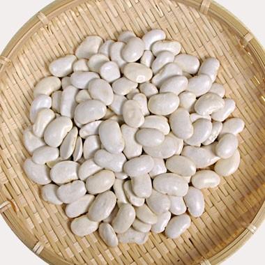 豆 白花豆 大白花芸豆 10kｇ 中国産 送料無料