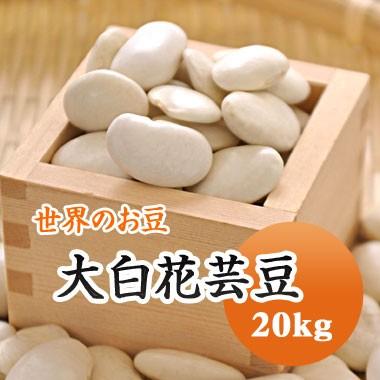 豆 白花豆 大白花芸豆 20kｇ 中国産 貨物輸送無料 乾燥豆類-花豆、白花豆-食品