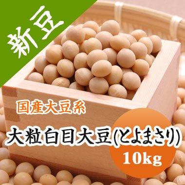 豆 大豆 大粒白目大豆 とよまさり 北海道産 送料無料 味噌 令和２年産 10kg 業務用