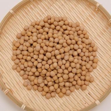 7年産・北海道産とよまさり大豆10kg 豆 大豆 とよまさり 北海道産 送料無料 味噌 令和7年産 10kg : 豆平