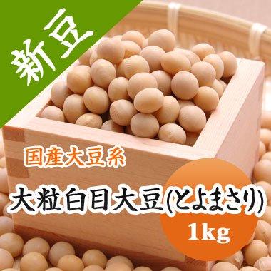 豆 大豆 とよまさり 北海道産 味噌 令和7年産 1kg : 豆平Yahoo!店 