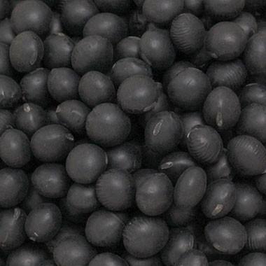 黒豆 大粒黒豆 送料無料 北海道産 令和6年産 20kg 業務用 