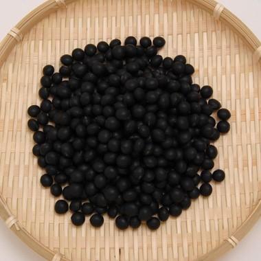 黒豆 大粒黒豆 送料無料 北海道産 令和6年産 20kg 業務用 