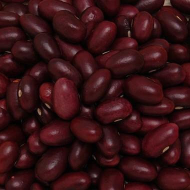 豆 金時豆 北海道産 大正金時 【令和7年産】 20kg 業務用 送料無料