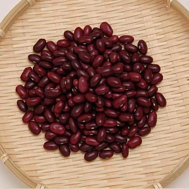 金時豆20キロ 豆 金時豆 北海道産 大正金時 【令和7年産】 20kg 業務用 送料無料