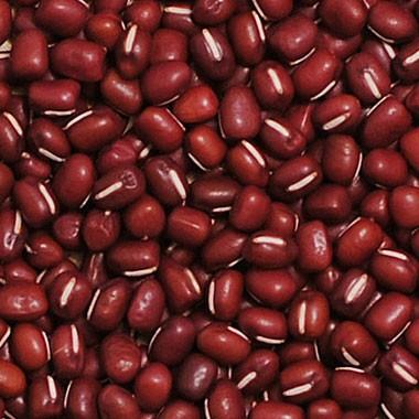 小豆 丹波大納言 あずき 令和7年産 500g : 豆平Yahoo!店 - 通販