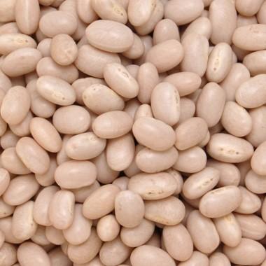 豆 白いんげん豆 北海道産 大手亡 令和6年産 1kg : 豆平Yahoo!店