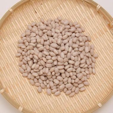 豆 白いんげん豆 北海道産 大手亡 令和6年産 1kg : 豆平Yahoo!店