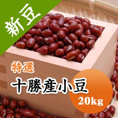 豆 小豆 あずき 北海道産 特選十勝産 令和7年産 20kg 業務用 : 豆平