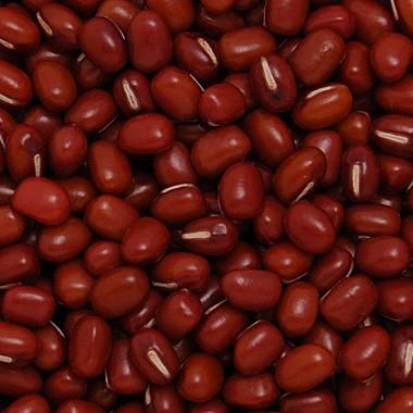 豆 小豆 あずき 送料無料 北海道産 特選十勝産 令和7年産 30kg 業務用